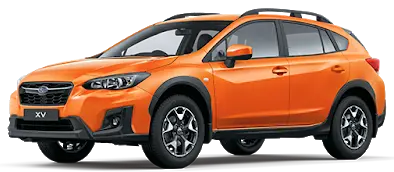 xv