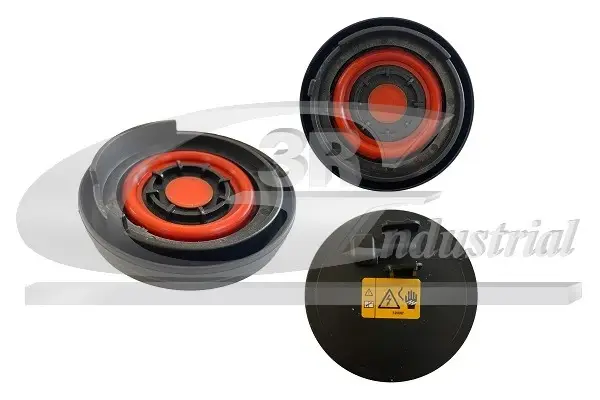 Мембрана картерних газів BMW E90 3.0 06-11, F30 3.0 11-15, F10 3.0 10-16 (N55 B30 A) 3RG 81109 (фото 1)