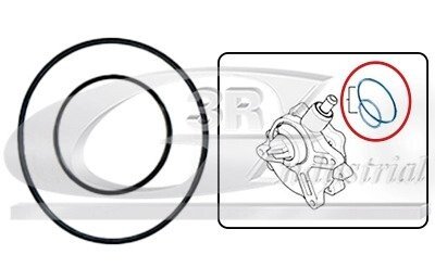 Набір прокладок вакуумного насоса BMW 1 (E81), 1 (E82), 1 (E87), 1 (E88), 3 (E46), 3 (E90), 3 (E91), 3 (E92), 3 (E93), 5 (E60), X1 (E84), X3 (E83), Z4 (E85) 1.8/2.0 12.00-06.15 3RG 74100 на Бмв Х3 е83