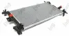 Радіатор інтеркулера Abakus 0170170056B (фото 1)