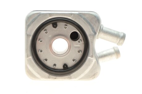 Радіатор масляний adler 068117021B