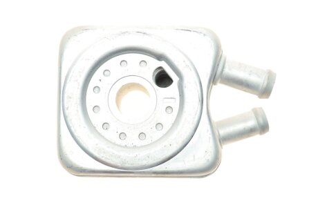 Радіатор масляний adler 068117021B