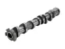 CAMSHAFT INLET AE CAM1067