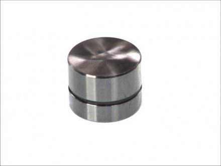 Гидротолкатель AUDI 100, A6 2.4D, 2.5TD, VW PASSAT, T4 1.9D (90-) ae FOL92 на Сеат Кордоба