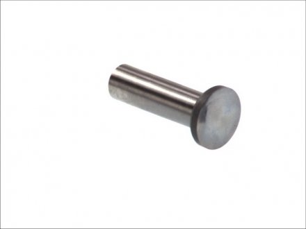 Гидрокомпенсатор (толкатель клапана) ae FOL85