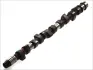 Вал распределительный VAG 2.5TDI AAT/L/ABT/AHD, VOLVO D5252T (пр-во) AE CAM442