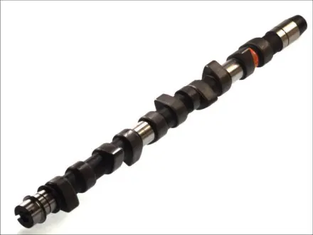 Вал распределительный VAG 2.5TDI AAT/L/ABT/AHD, VOLVO D5252T (пр-во) AE CAM442