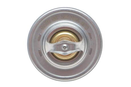 Термостат aic 51178