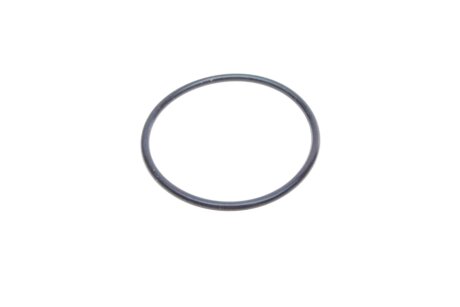 Термостат aic 52905