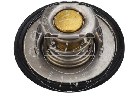 Термостат aic 58101