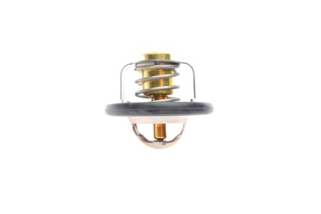 Термостат aic 58255