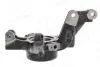 Цапфа (поворотный кулак) AIC 59450