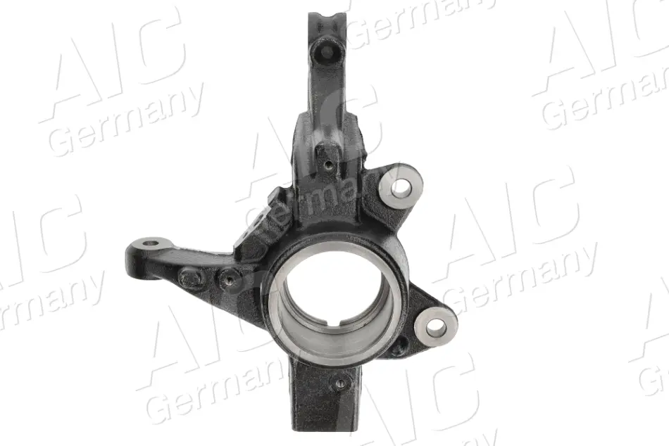 Цапфа (поворотный кулак) AIC 59450