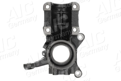 Цапфа (поворотный кулак) aic 59471