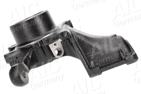 Цапфа (поворотный кулак) aic 59471