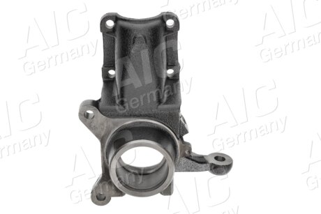 Цапфа (поворотный кулак) aic 59471