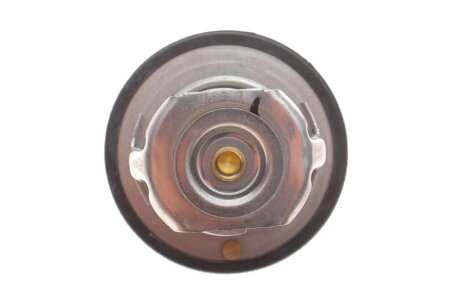 Термостат aic 75203