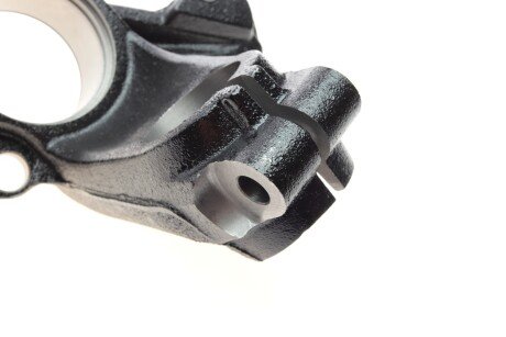 Цапфа (поворотний кулак) aic 55089