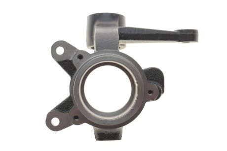 Цапфа (поворотний кулак) aic 55837