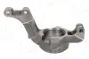 Цапфа (поворотный кулак) AIC 56453