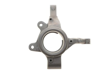 Цапфа (поворотный кулак) aic 56455