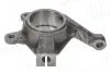 Цапфа (поворотный кулак) AIC 56533