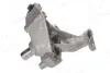 Цапфа (поворотный кулак) AIC 58827