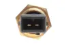 Датчик температури охолоджуючої рідини AIC 52546