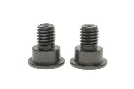 Гвинт крiплення гальмiвного диска 2шт. aic 53273