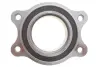 Пiдшипник ступицi AIC 55387