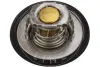 Термостат AIC 58101