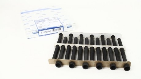 Болты ГБЦ ajusa 81039000