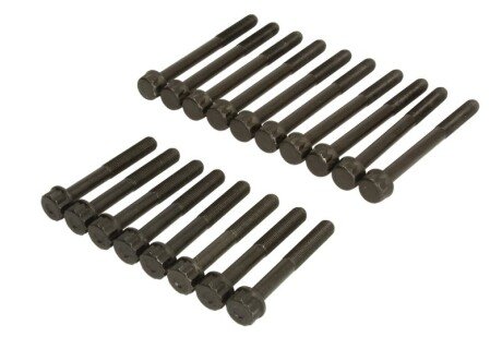 Комплект болтов головки цилидра ajusa 81035300