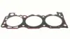 Прокладка ГБЦ FORD 2.9V6 TV29 RIGHT 86-9 ajusa 10038000