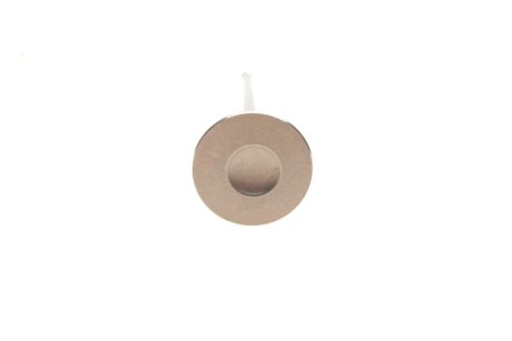 Клапан (выпуск) amp PCHE008A0D