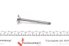 Клапан (выпуск) AMP PAUD011A0N (фото 3)