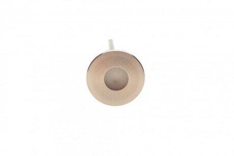 Клапан (выпуск) amp PFOR133A0N