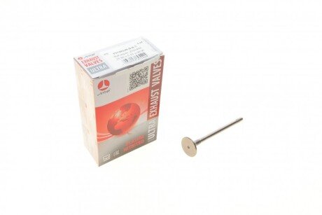 Клапан (выпуск) amp PFOR248B0N