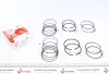 Поршневые кольца AMP PRDAE493538025SET (фото 1)
