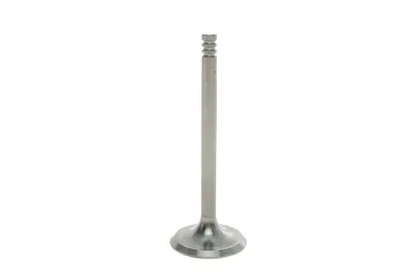 Впускной клапан AMP PVWG023-S-0-N