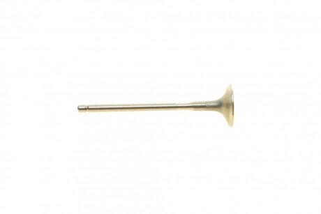 Выпускной клапан amp PTOY111A0N