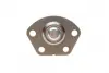 Нижняя шаровая опора as metal 10FI3004