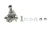 Нижня кульова опора As Metal 10TY0206 (фото 1)