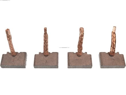 Щітка стартера as (польша) BSX206207