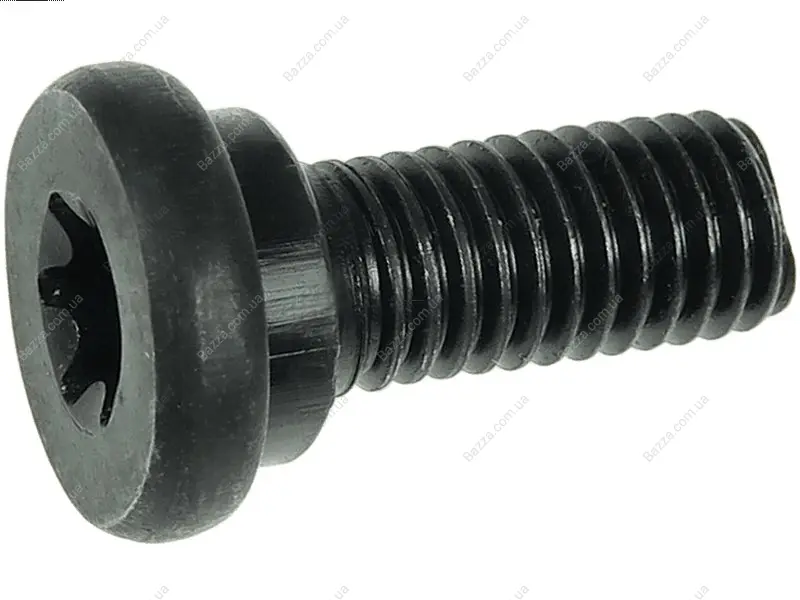 Болт з головкою системи TORX з чорного металу AS (Польша) SRS3060S (фото 1)