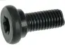 Болт з головкою системи TORX з чорного металу AS (Польша) SRS3060S