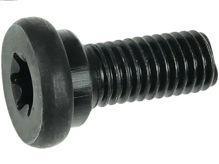 Болт з головкою системи TORX з чорного металу AS (Польша) SRS3060S