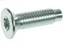 Болт з головкою системи TORX з чорного металу AS (Польша) ARS3026S