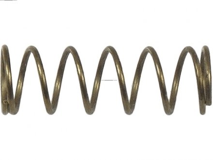 Пружина щітки as (польша) SRS3016(BULK)