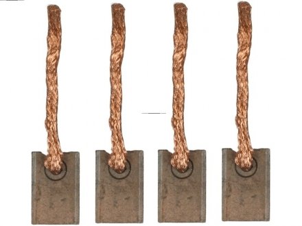 Щітка стартера as (польша) SB2002